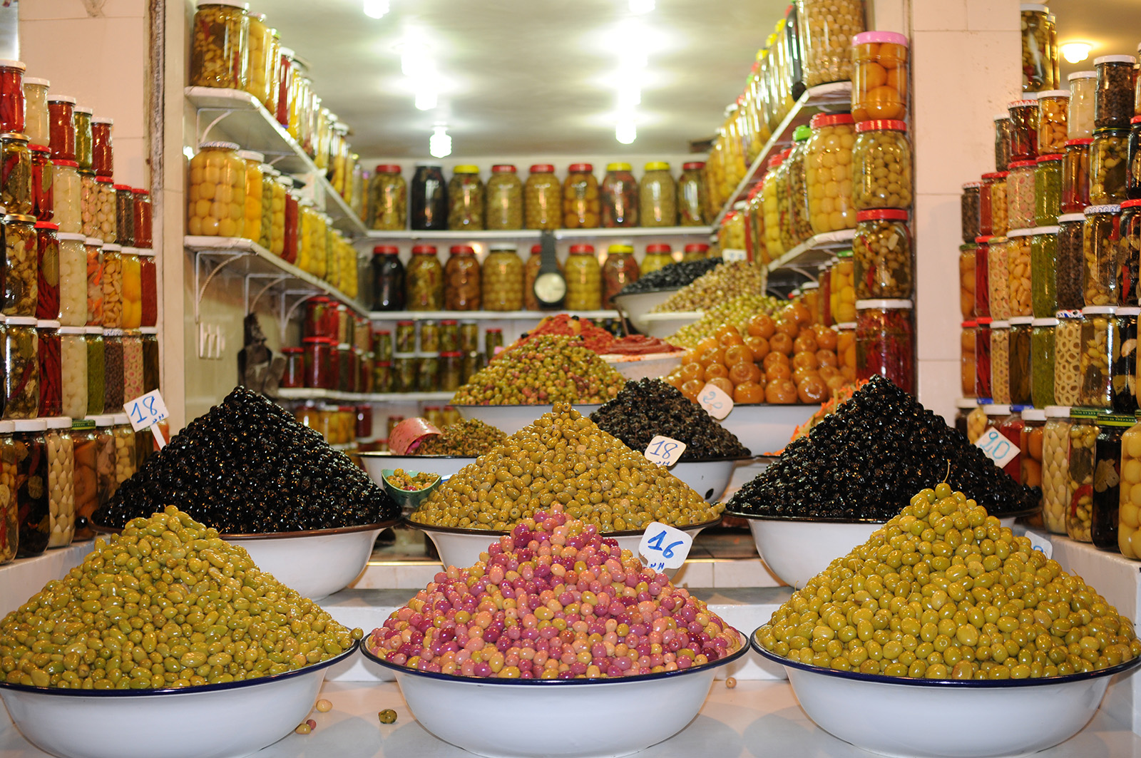 OWU Theory into Practice: Research on Olives & Sustainability in Morocco