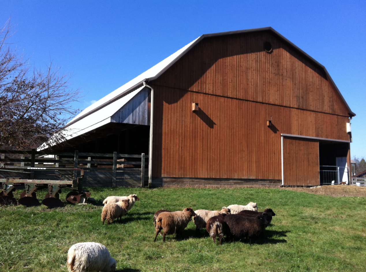 Farm / Food / Environmental / Sustainability Internships at Stratford and Methodist Theological School of Ohio