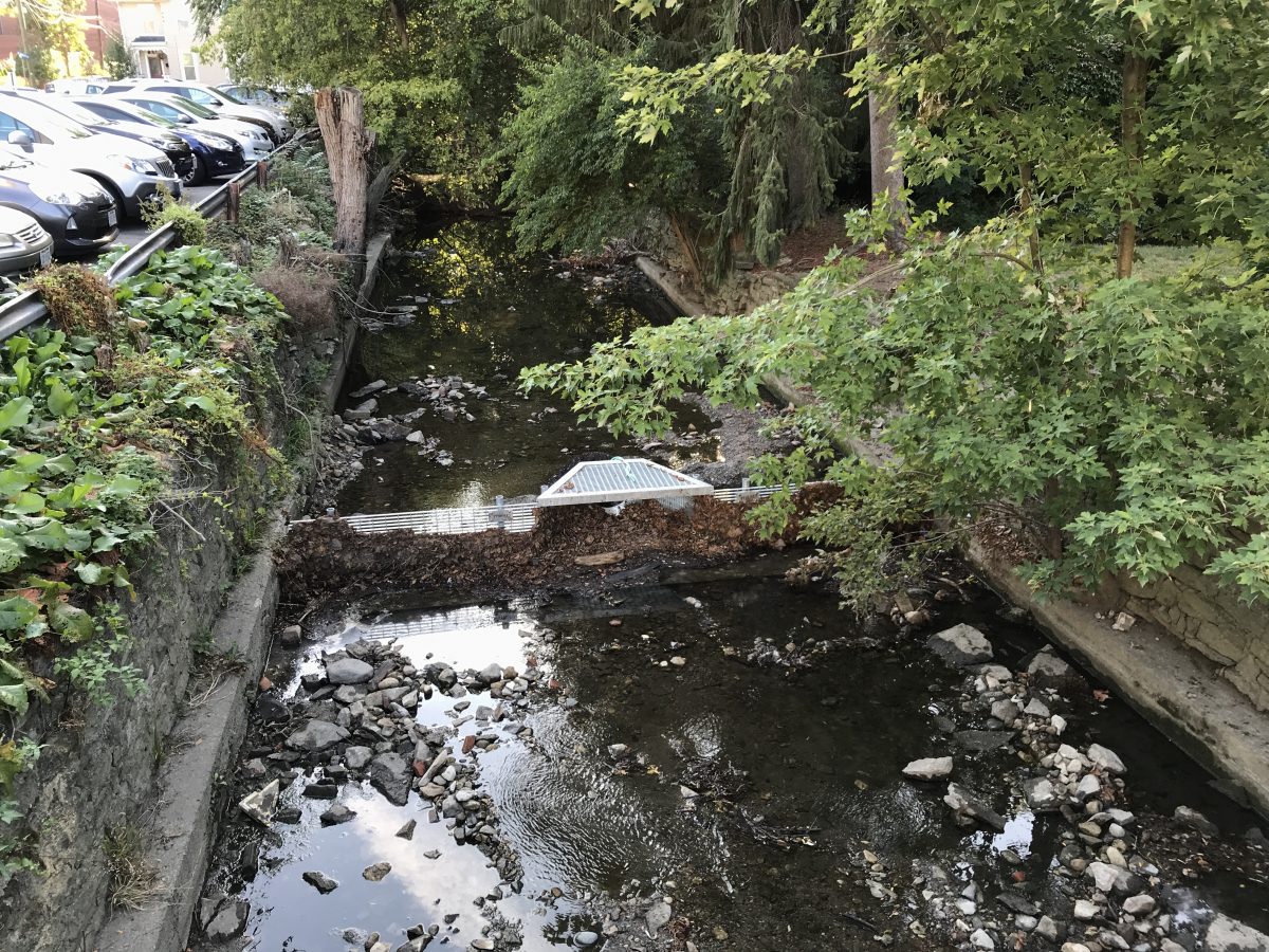 Delaware Run Storm Drain Net Installed and Catching Crap